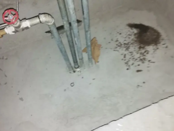 澜沧卫生间测漏水价格明细