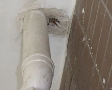 澜沧漏水检测哪家好